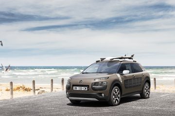 C4 Cactus RipCurl 15