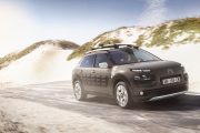 C4 Cactus RipCurl 9 180x120