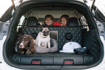 426183284 Nissan X Trail 4Dogs 360x240