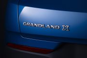 Opel Grandland X 305592 180x120