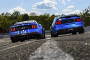 Ford Mustang NASCAR 2021 6 180x120