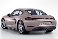 Porsche 718 Cayman S 2,5 (350 KM) M6 (1)