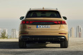 Audi Q8  50 TDI Quattro (286 KM) A8 Tiptronic (5)