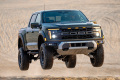 Ford F-150 Raptor SuperCrew 3,5 High-Output EcoBoost (456 KM) A10 (1)