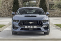 Ford Mustang GT 5,0 Ti VCT V8 (446 KM) A10 (4)