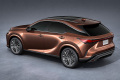 Lexus RX 350h F Sport Design 2,5 (250 KM) e-CVT (5)