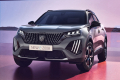 Peugeot 2008 Active 1,2 PureTech (100 KM) M6 (3)