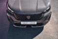 Peugeot 2008 Allure 1,2 PureTech (100 KM) M6 (6)