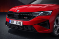 Skoda Octavia RS 2025 Combi 2,0 TSI (265 KM) A7 DSG (6)