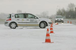 wirek dla kota przydatny w samochodzie 1