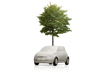 Fiat sadzi drzewa