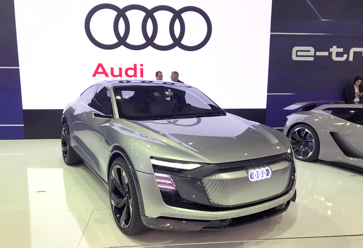 Audi Elaine