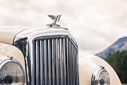 Bentley Continental koczy 70 lat