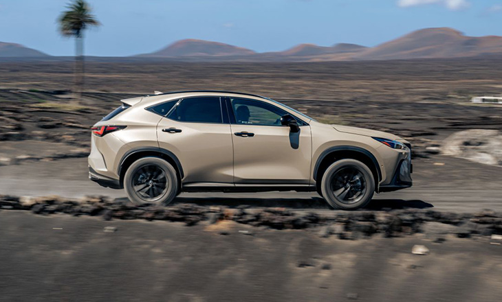 Lexus NX Overtrail 2024