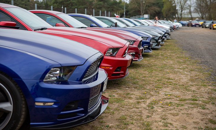 XVII Ogólnopolski Zlot Mustangów 2025