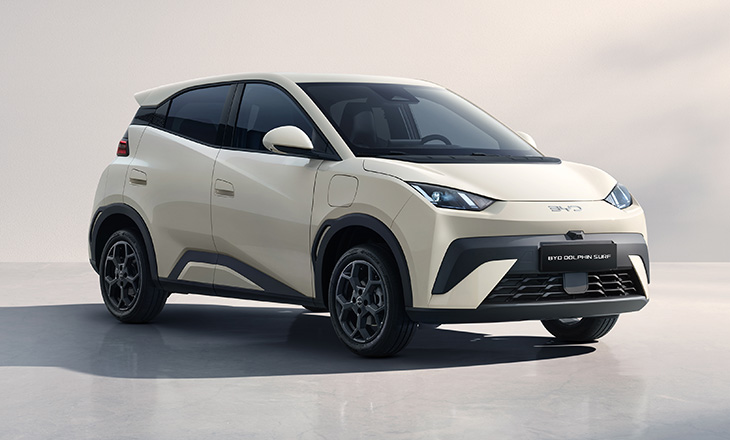 BYD Dolphin Surf 2025