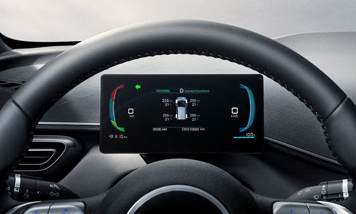 BYD Dolphin Surf 2025