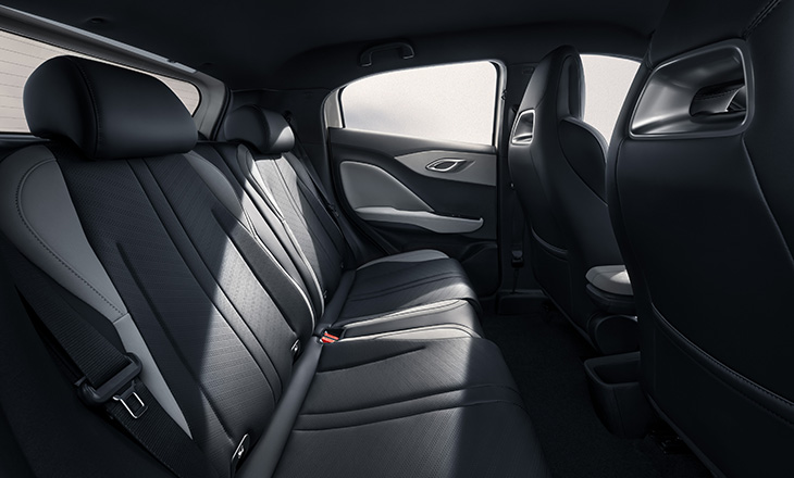 BYD Dolphin Surf 2025