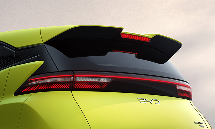 BYD Dolphin Surf 2025