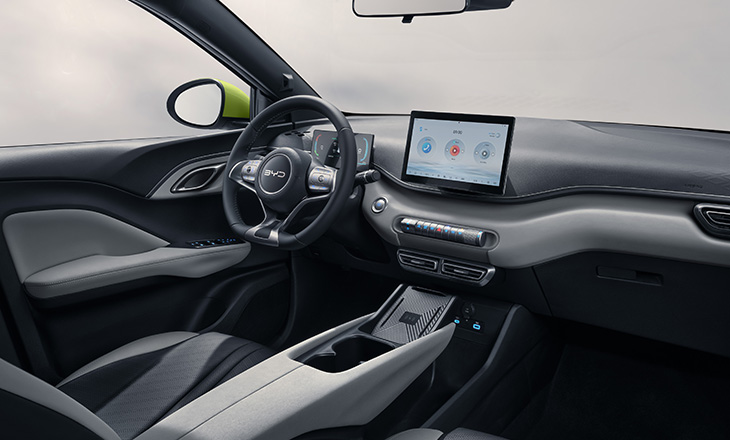 BYD Dolphin Surf 2025