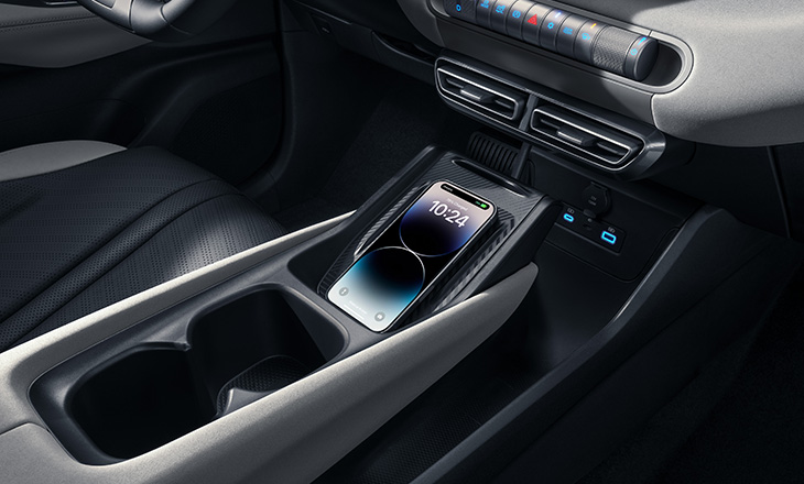 BYD Dolphin Surf 2025