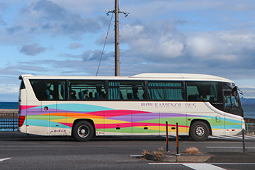 Dlaczego warto wybra busy do Belgii od Celotrans?